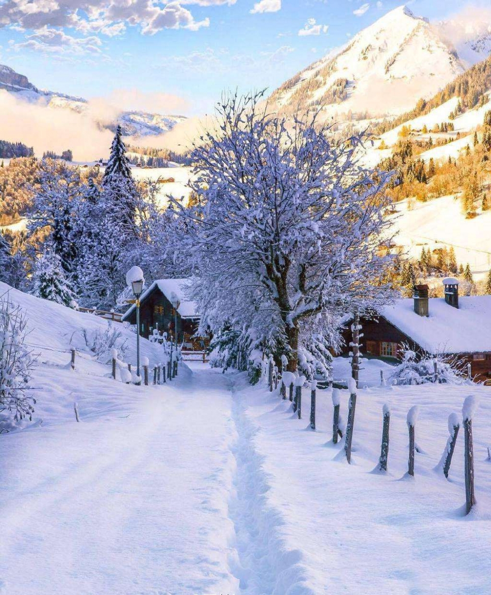 现在能从瑞士转机回国吗