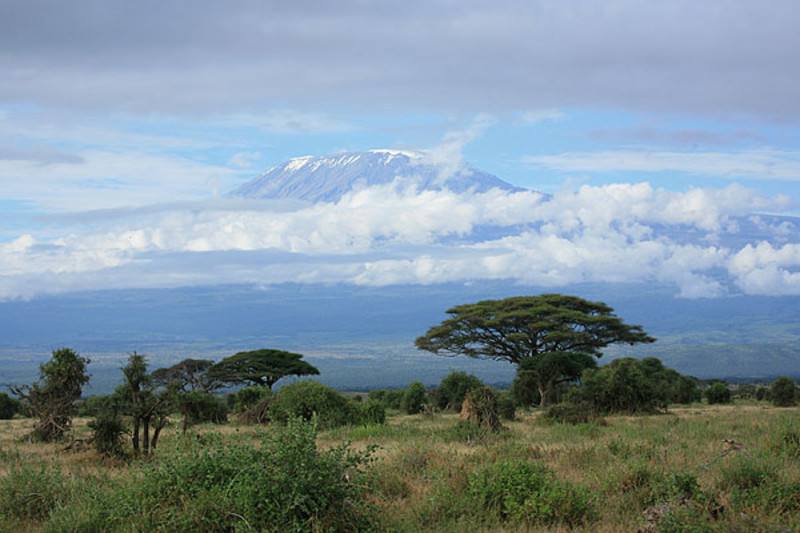 现在可以去坦桑尼亚吗