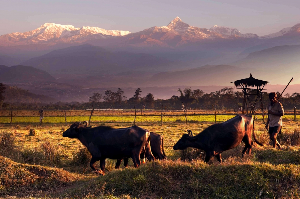 尼泊尔延长航班禁令
