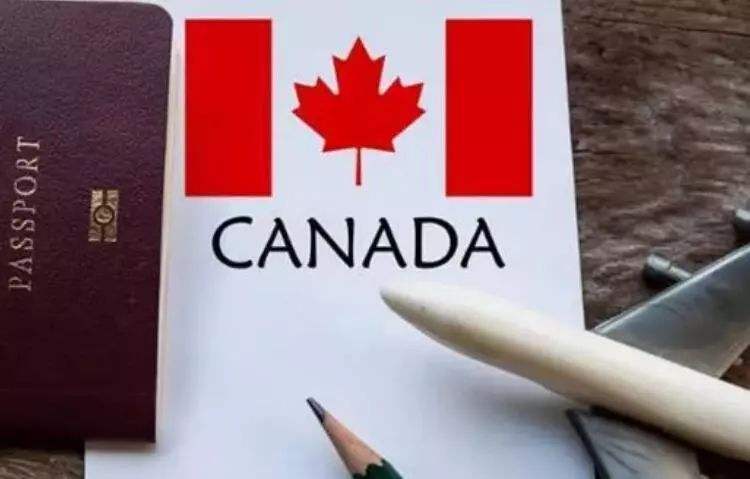 加拿大签证过期