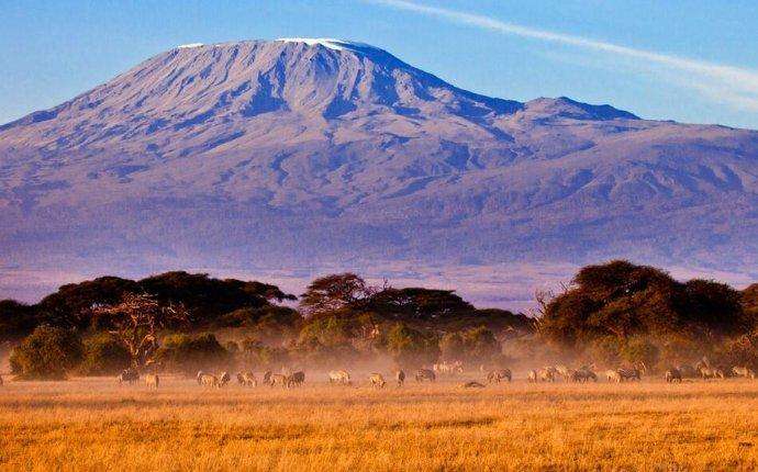 肯尼亚正式解封允许中国人入境