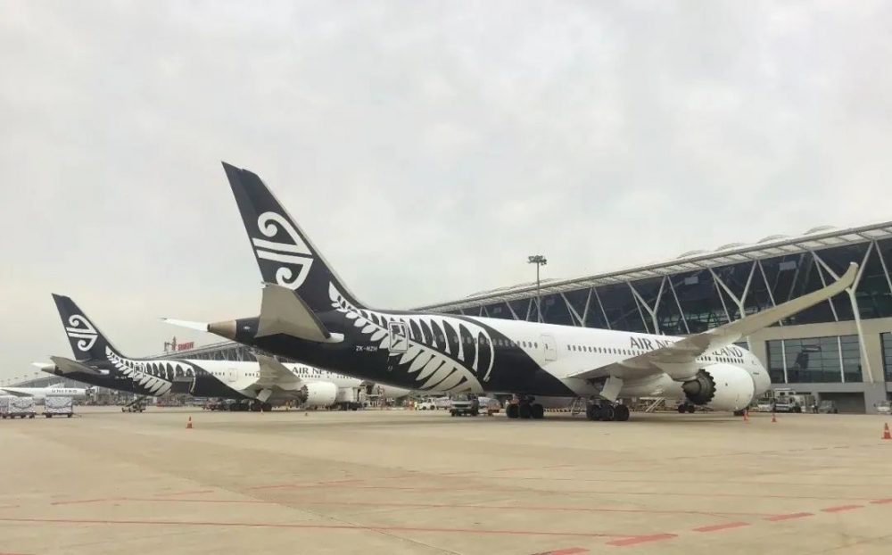 新西兰航空增加航班