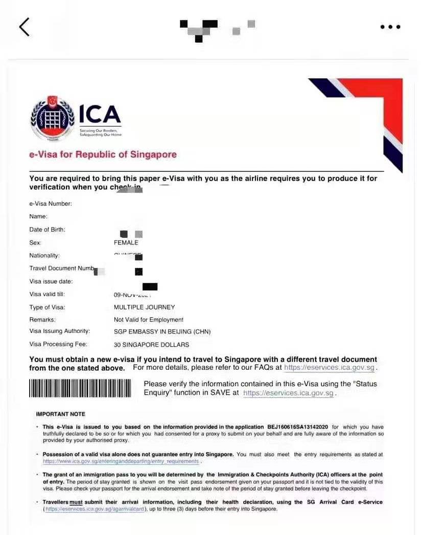 新加坡63天电子商务签证
