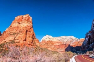 ​春节全家办签证,你不得不知的办签技巧！