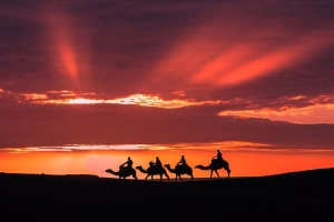 《红海行动》取景地，这个宛若童话般的免签国度春天去刚刚好！