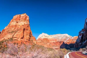 衡量探亲签证代办公司的标准有哪些？