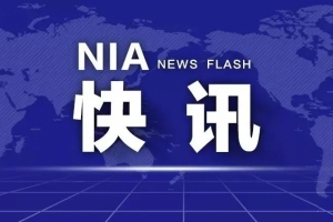 提醒！在尼日尔首都尼亚美中国公民注意安全
