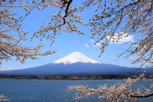 日本正在逐步解封，目前39个县解除紧急事态