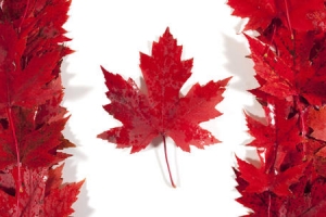 年龄太大能办加拿大签证吗？会容易拒签吗？