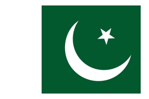 巴基斯坦恢复签证办理，允许入境，有航班且无需隔离！