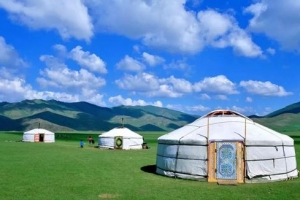 关于协助滞留蒙古确有特殊困难同胞搭乘临时商业航班回国有关事项的通知