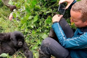 卢旺达8月起恢复国际商业航线并宣布入境、过境政策