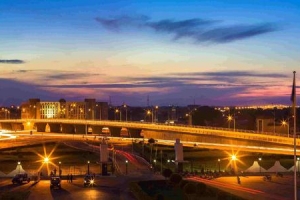 关于对由乍得搭乘航班赴华的中外籍乘客实施远端核酸检测措施的通知