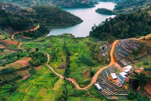 卢旺达领事馆关于赴华乘客凭新冠病毒核酸检测阴性证明登机的通知