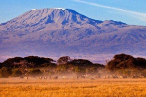 肯尼亚正式解封！8月1日恢复国际航班，允许中国等11国公民率先入境！！