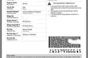 2020年8月，现在想去土耳其，签证好办吗？需要哪些材料？