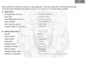 印尼移民局10月实施的电子签证是什么来头？该如何入境印尼？