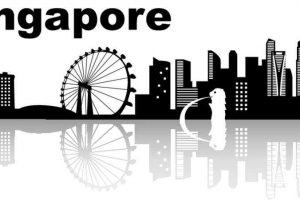 2020年新加坡签证申请最全攻略，附新加坡入境航空通行证申请流程