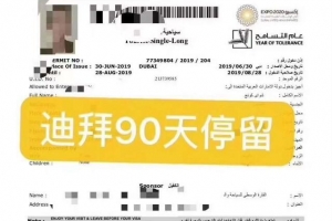 迪拜90天单次旅游电子签证恢复办理