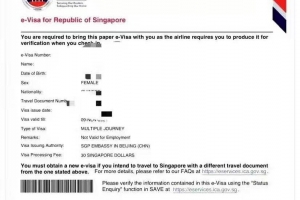 新加坡63天电子商务签证可办，需5个工作日