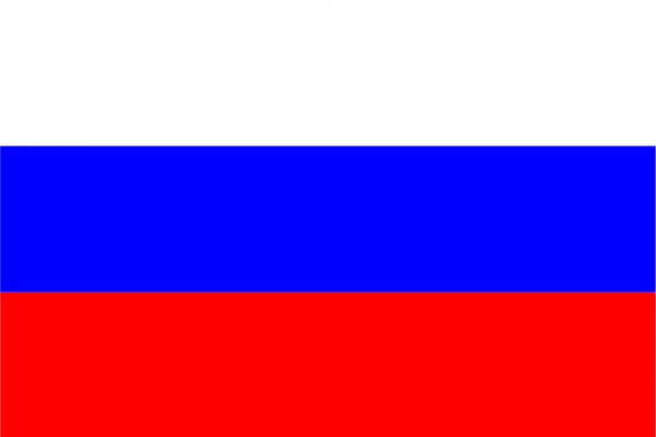 俄罗斯商务签证