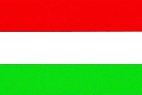 匈牙利商务签证