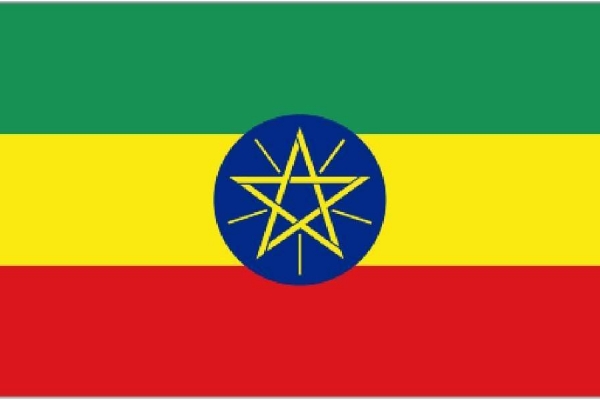 埃塞俄比亚商务包签