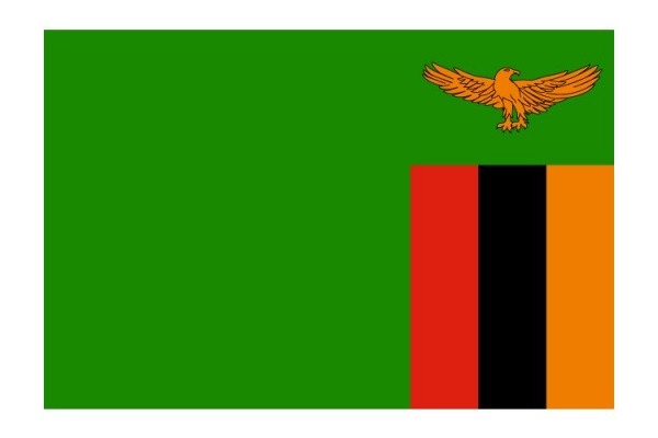 赞比亚商务签证