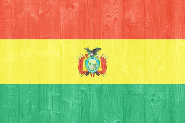 玻利维亚商务签证